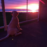 JimBoy - Tualitan, Oregon