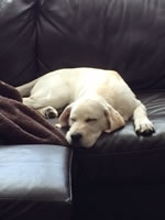 JimBoy - Tualitan, Oregon