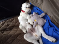 JimBoy - Tualitan, Oregon