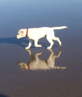 JimBoy - Tualitan, Oregon