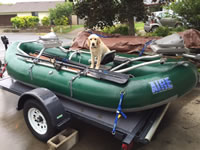 Lily - Ashland, Oregon