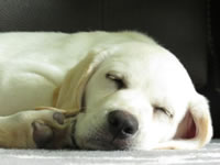 Oakley - Eugene, Oregon