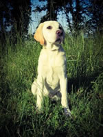 Oakley - Eugene, Oregon