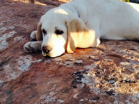 Wilson - Bend, Oregon