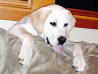 Wilson - Bend, Oregon