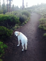 Wilson - Bend, Oregon